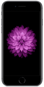 iPhone 6 Plus